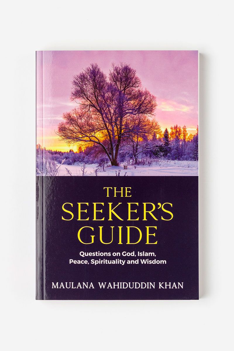 The Seeker's Guide