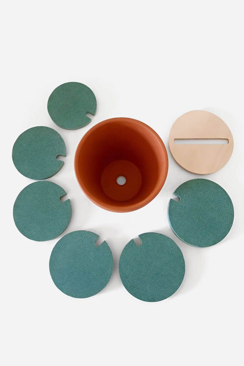 Cactus Plant 6 Piece Coaster Set