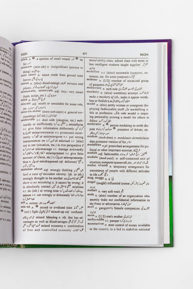 Advanced 21st Century Dictionary - New Edition - (English into English and Urdu)