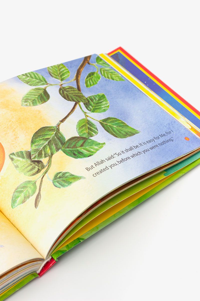 Amazing Quran Stories