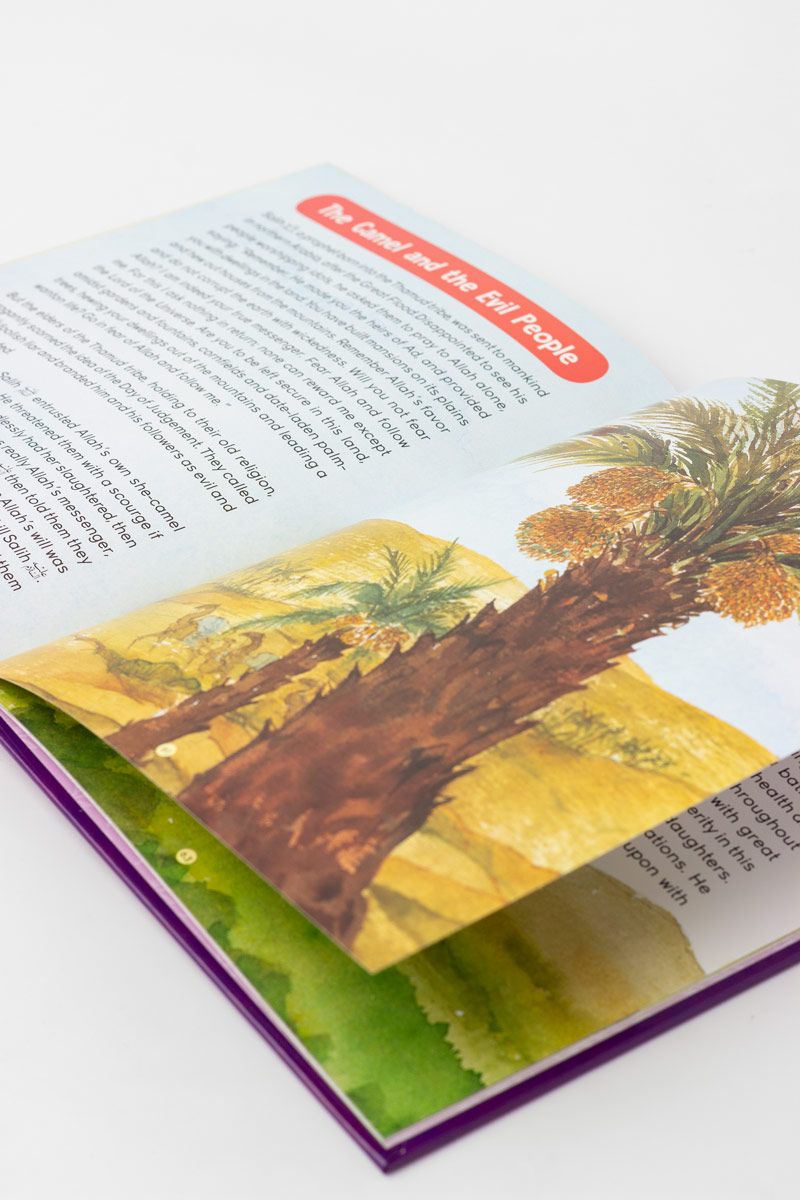 The Greatest Stories from the Quran